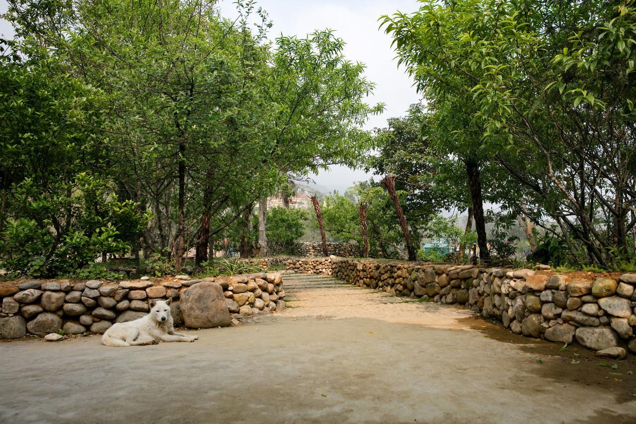 Tavan Riverside Ecolodge Sapa Bagian luar foto